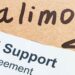 alimony child support